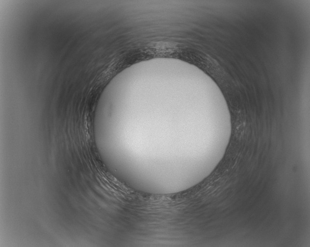 X0000052580866200507010911
