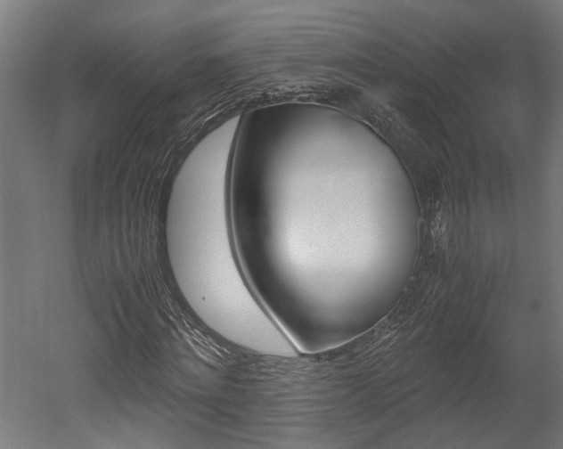 X0000052580868200507010911
