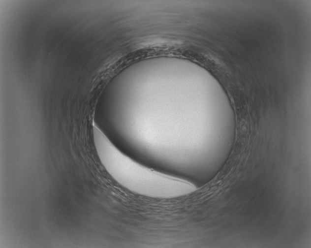 X0000052580869200507010911