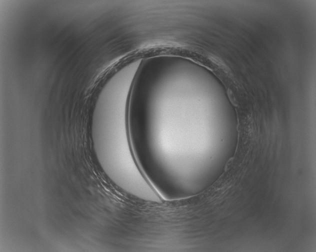 X0000052580872200507010911