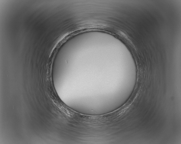 X0000052580875200507010911