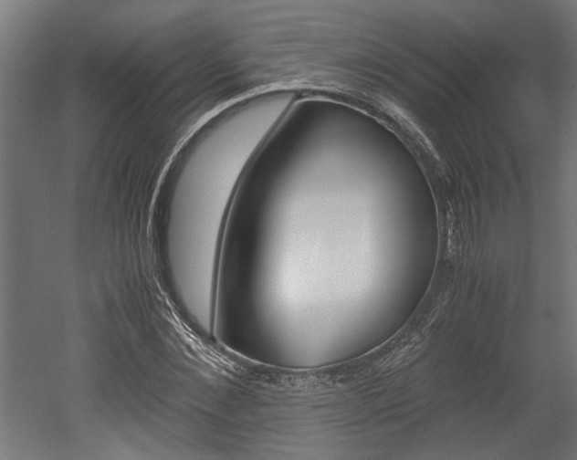 X0000052580876200507010911