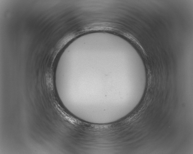 X0000052580882200507010911