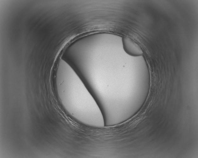 X0000052580883200507010911