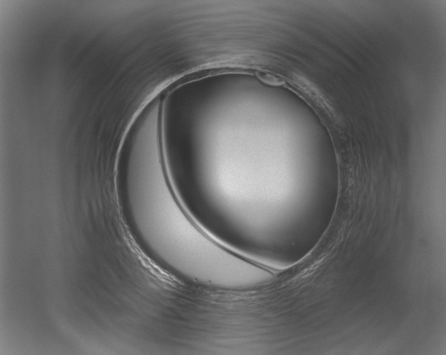 X0000052580884200507010910