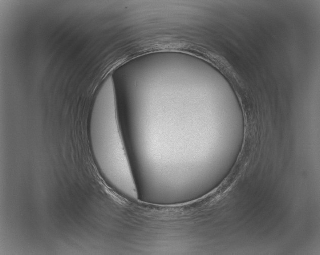 X0000052580889200507010910