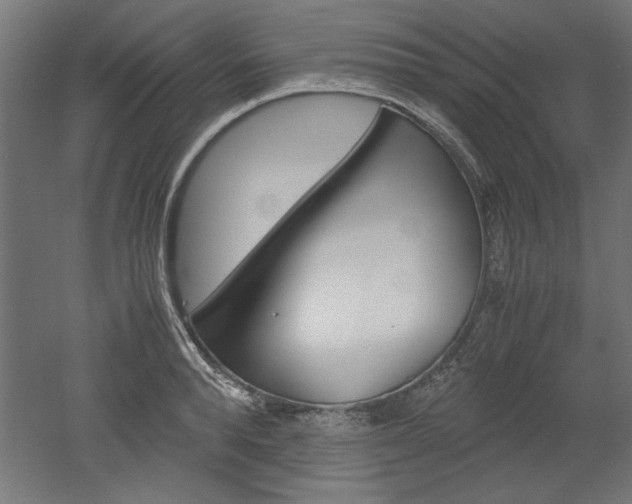 X0000052580896200507010910