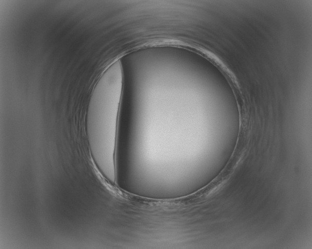 X0000052580905200507010910