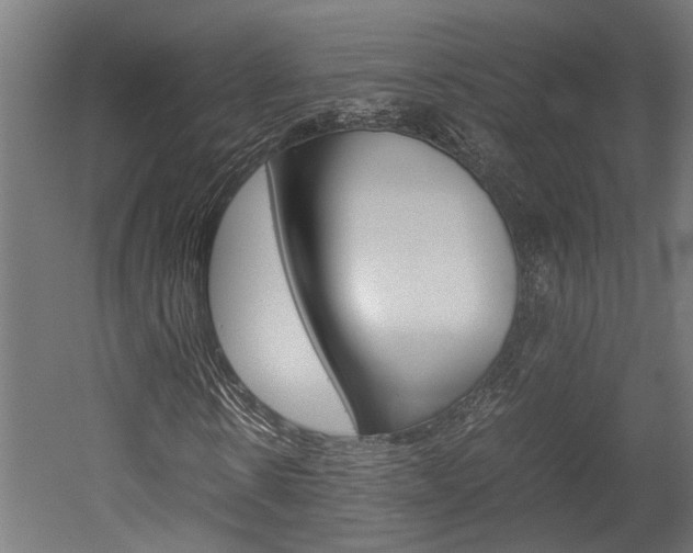 X0000052580914200507010909