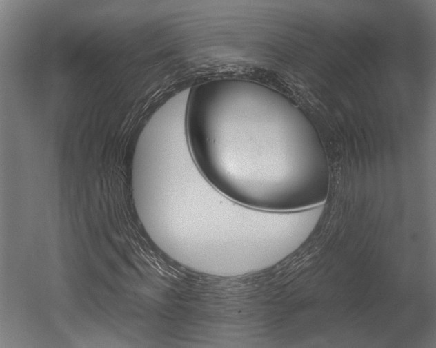 X0000052580916200507010909