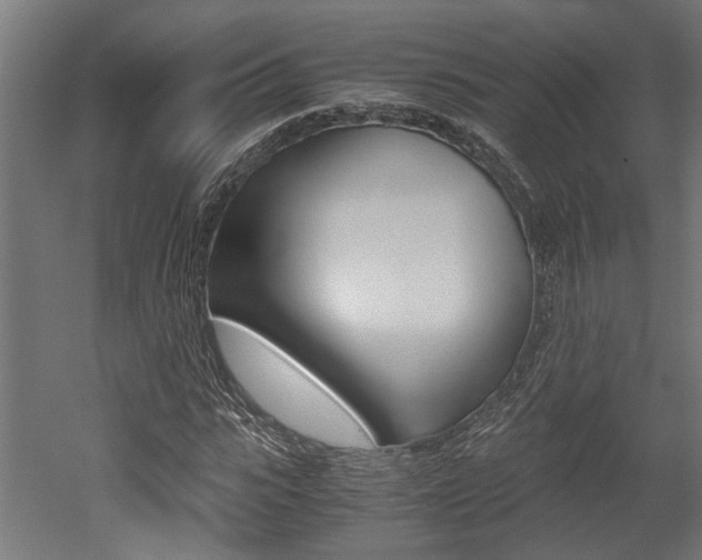X0000052580919200507010909