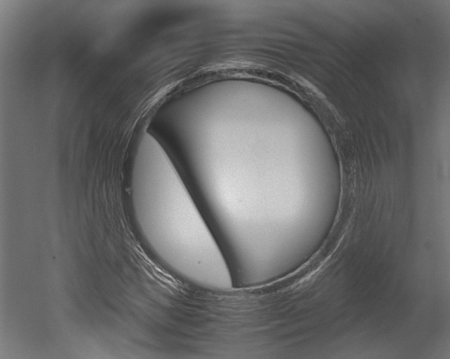 X0000052580921200507010909