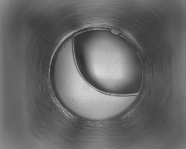 X0000052580932200507010910
