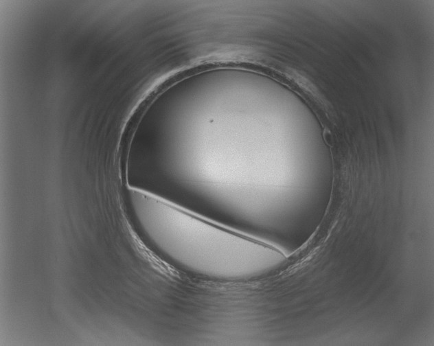 X0000052580934200507010910