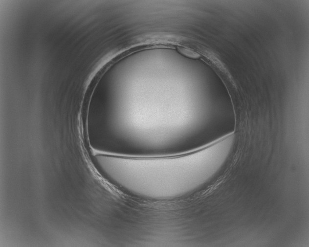 X0000052580936200507010910
