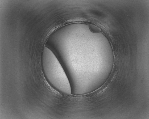X0000052580937200507010910