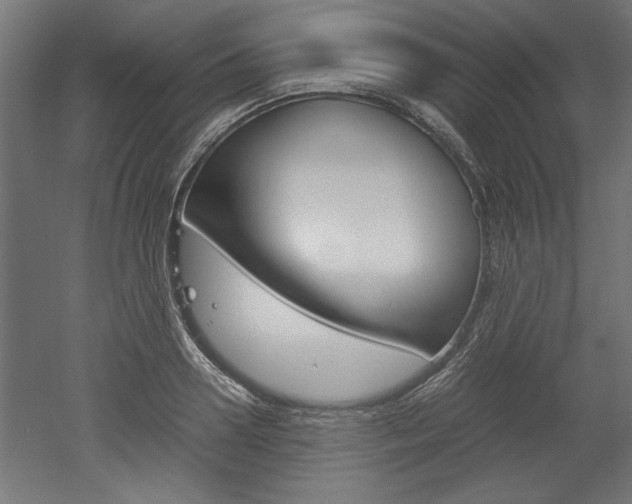X0000052580938200507010910