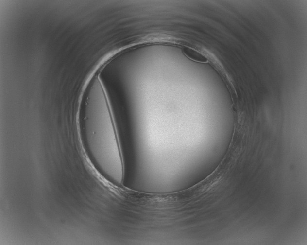 X0000052580947200507010910