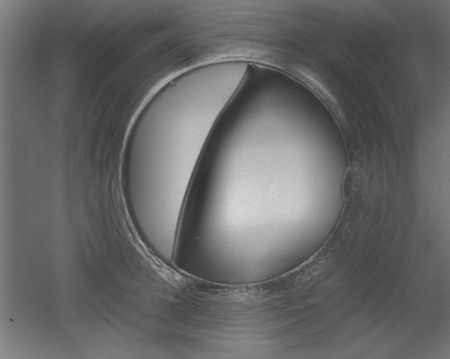 X0000052580948200507010910