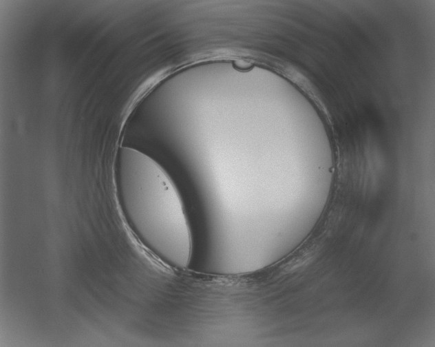 X0000052580954200507010910