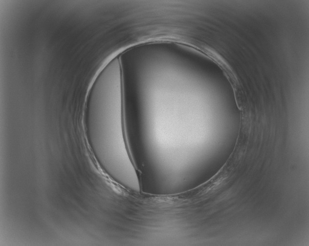 X0000052580956200507010910
