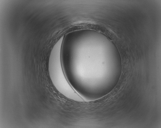 X0000052580965200507010909