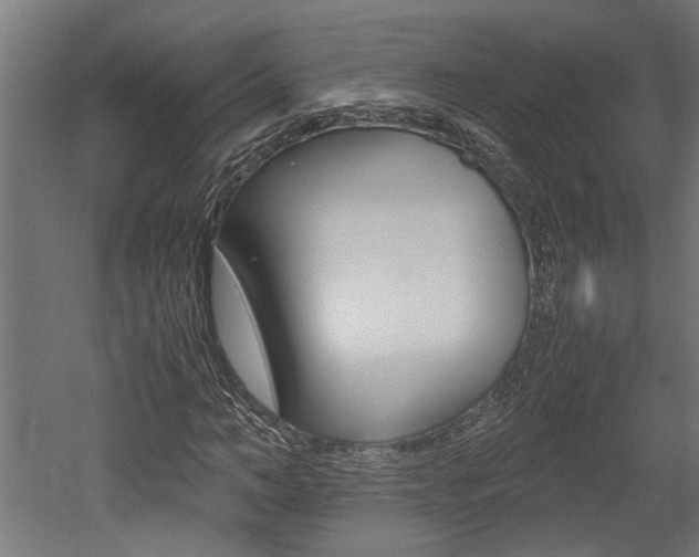 X0000052580966200507010909