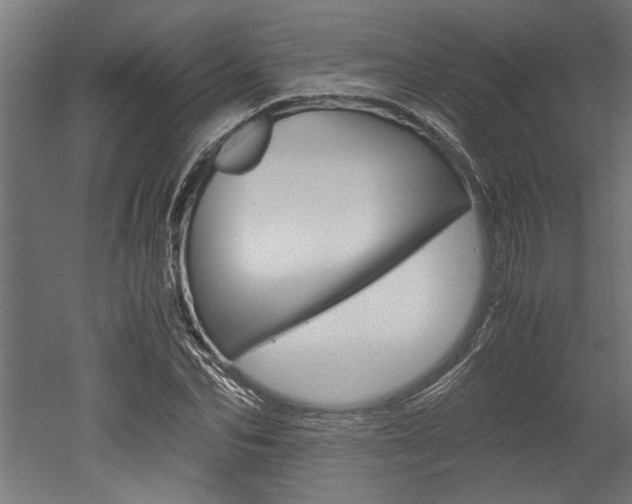 X0000052580974200507010909