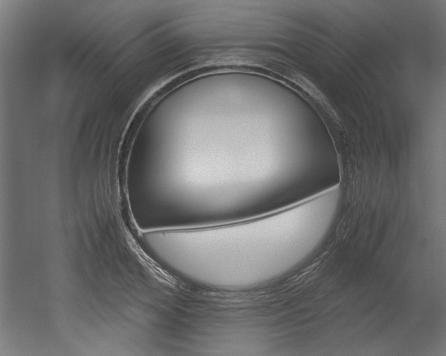 X0000052580980200507010909