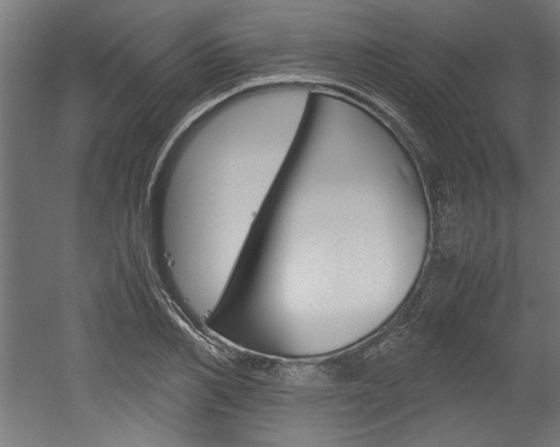 X0000052580982200507010909