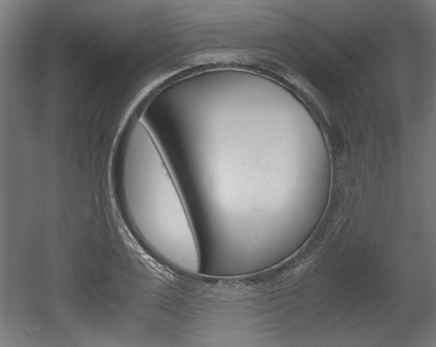 X0000052580983200507010909