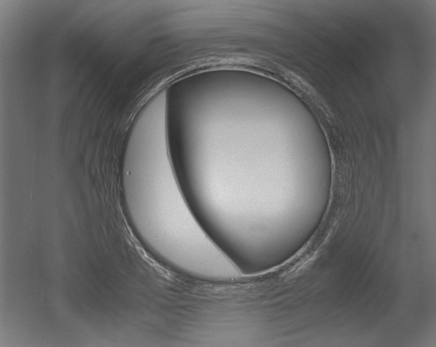 X0000052580985200507010909