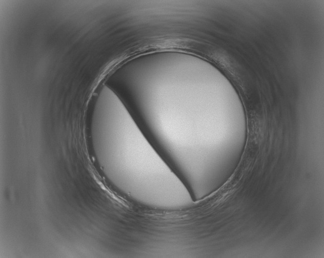 X0000052580986200507010909