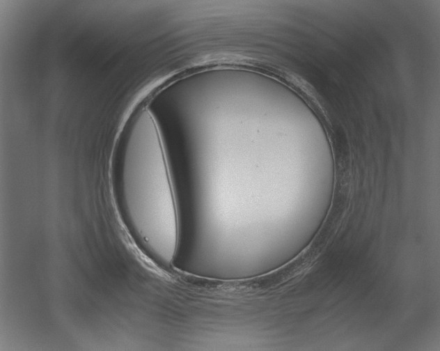 X0000052580987200507010909