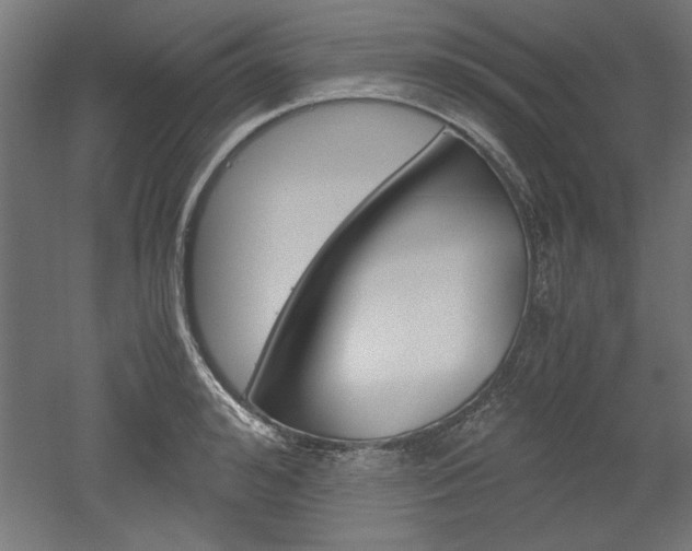 X0000052580992200507010909