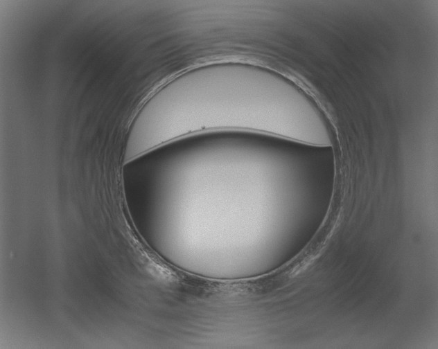 X0000052580993200507010909