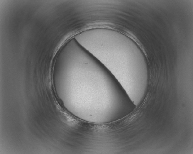 X0000052580994200507010909