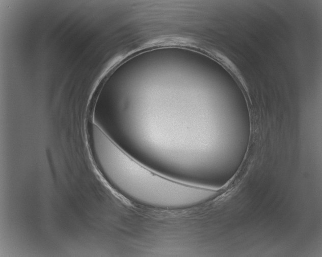 X0000052580997200507010909