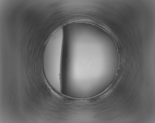 X0000052581001200507010909