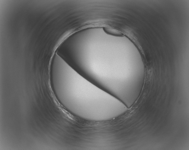 X0000052581002200507010908