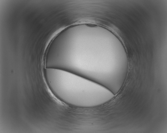 X0000052581003200507010908