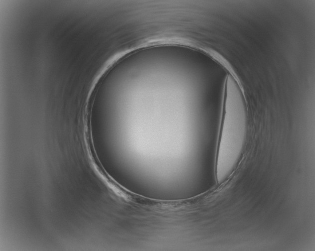 X0000052581005200507010908