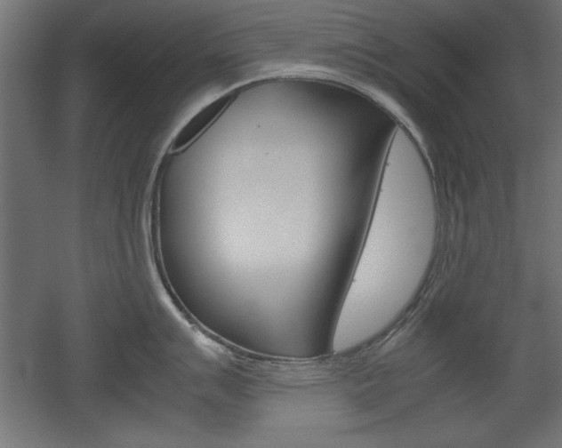X0000052581007200507010908