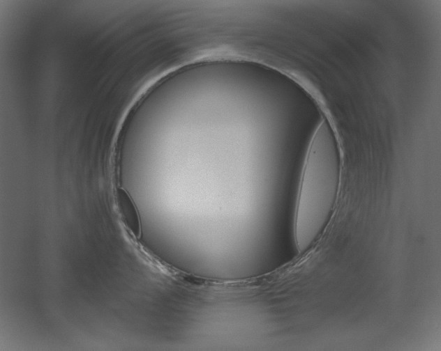 X0000052581008200507010908