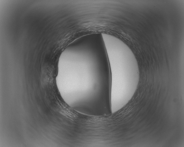 X0000052581012200507010908