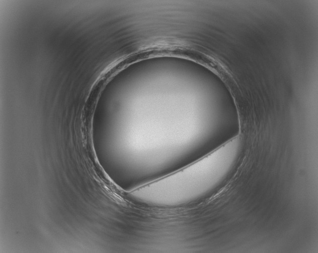 X0000052581018200507010908