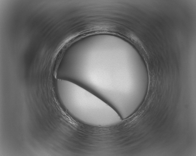 X0000052581019200507010908