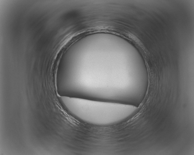 X0000052581023200507010908