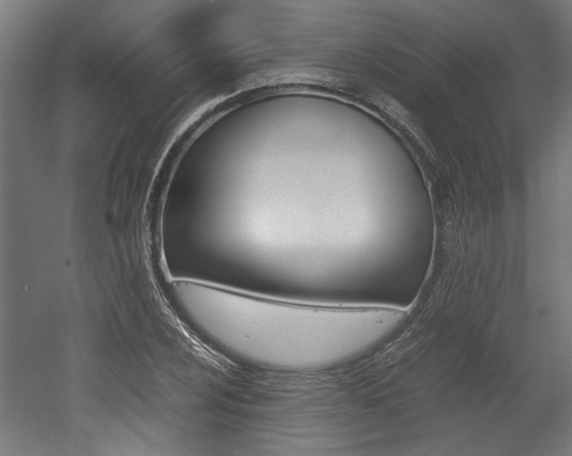X0000052581024200507010908
