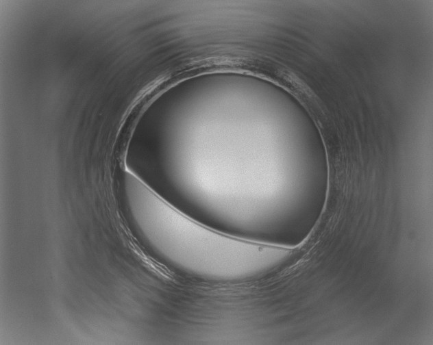 X0000052581026200507010908